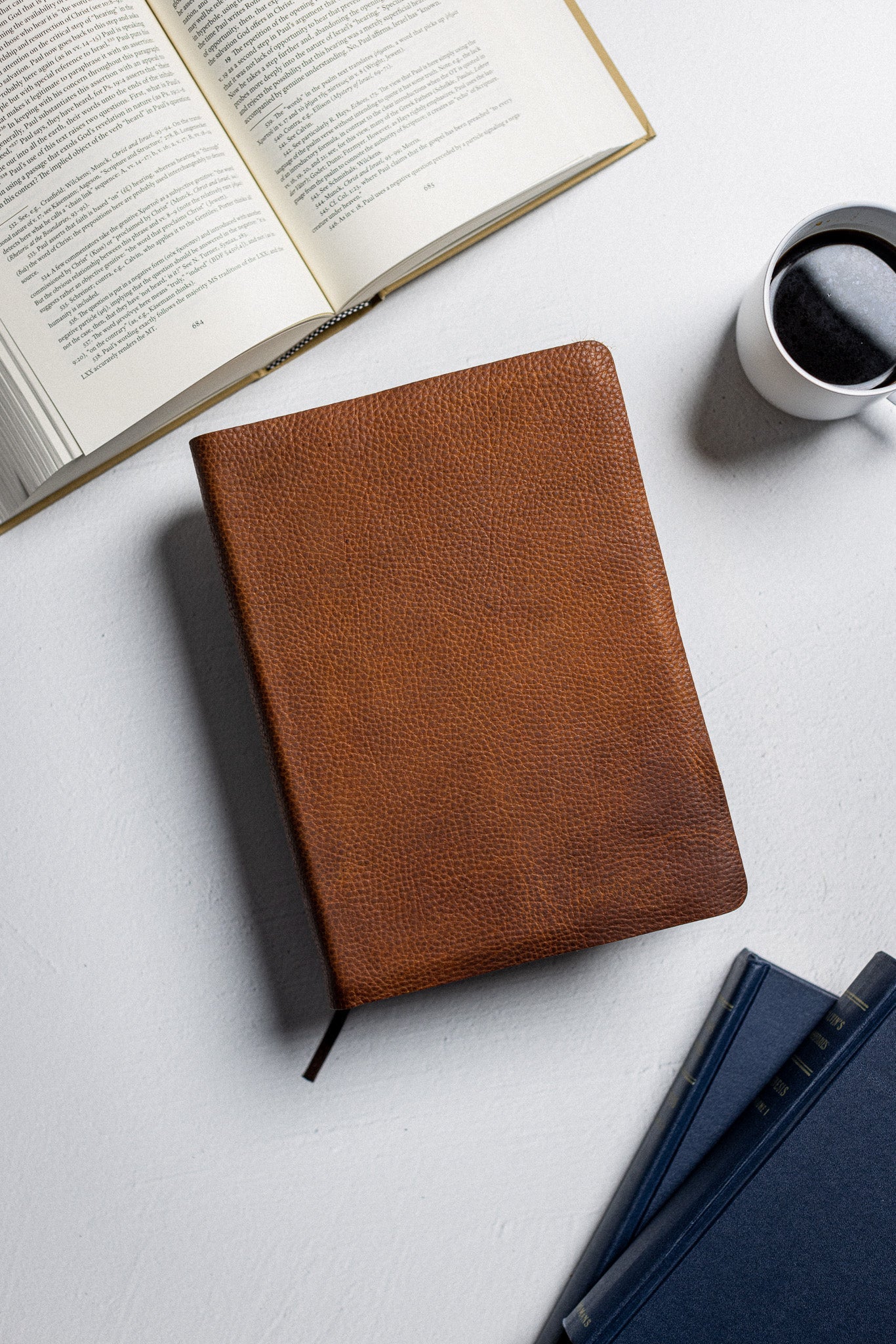 Study Bibles