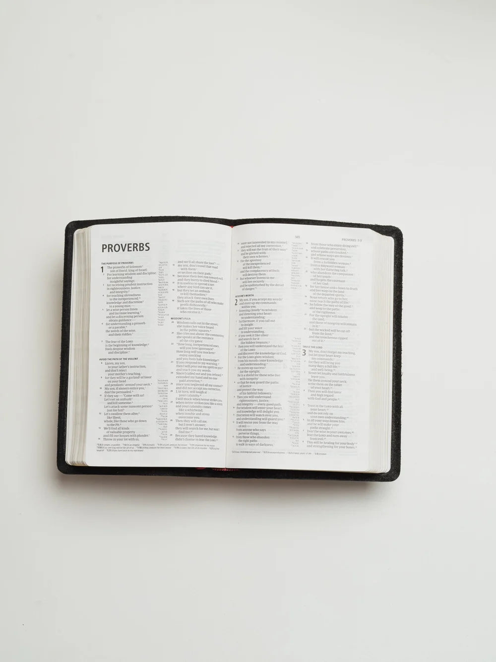 CSB Bible, Thinline Edition (Dark Brown)