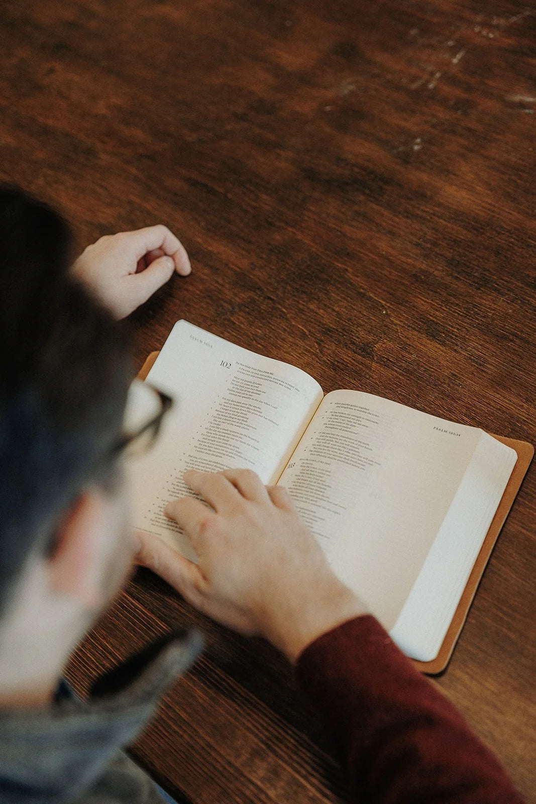 NIV Bible, Journaling Edition (Light Tan)