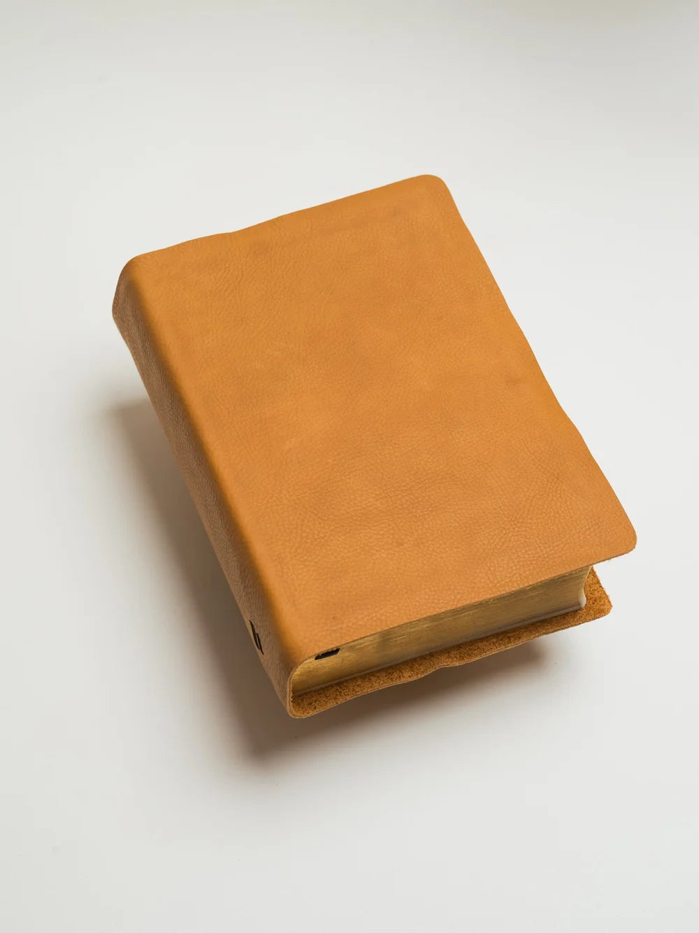 ESV Bible, Study Edition (Warm Brown)