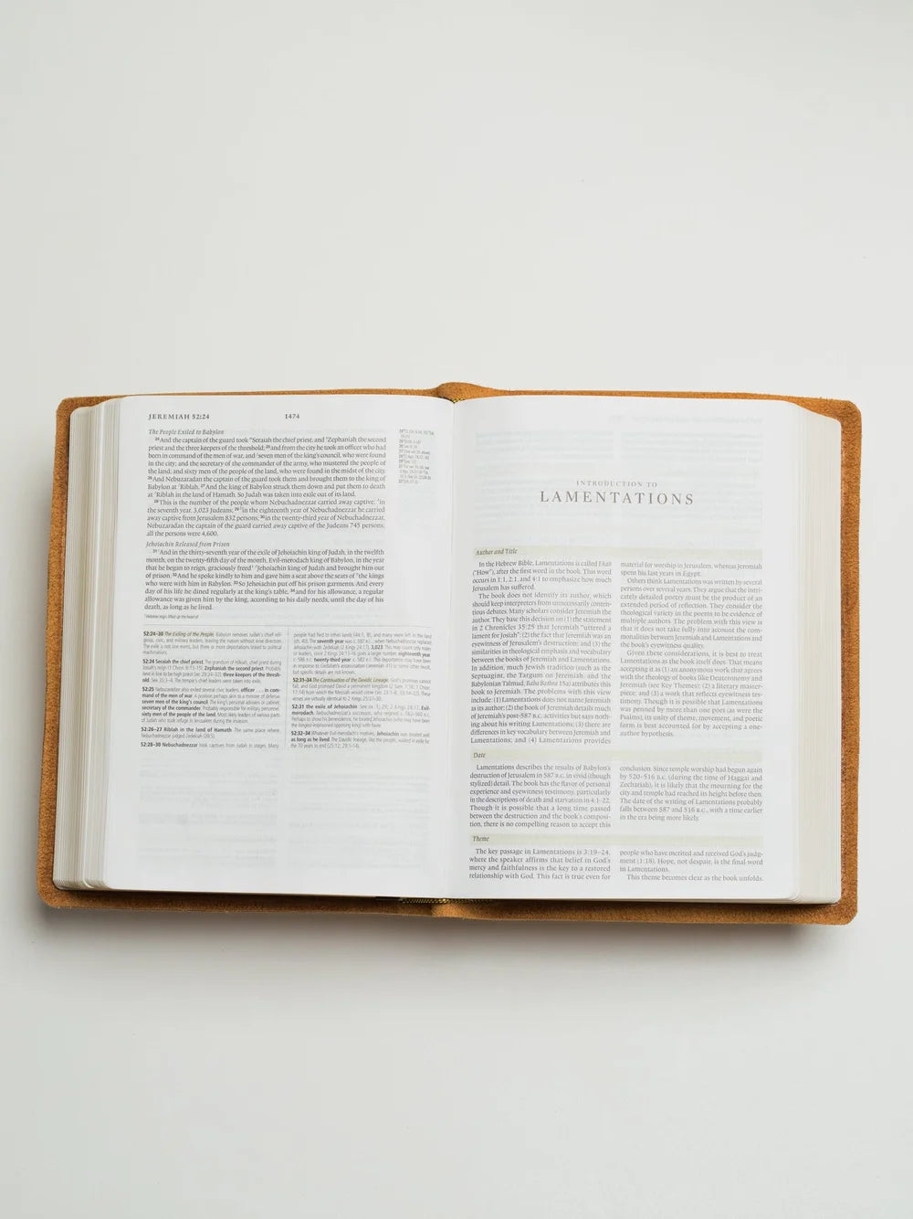 ESV Bible, Study Edition (Warm Brown)