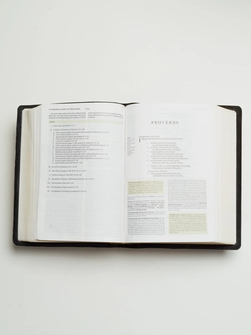 ESV Bible, Study Edition (Warm Brown)