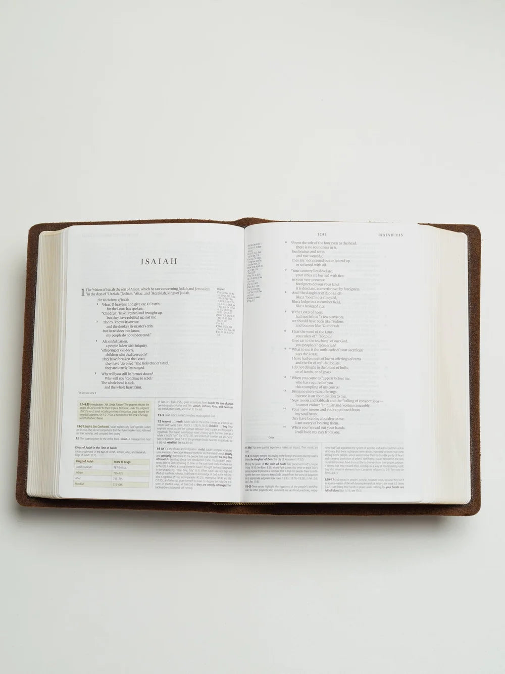 ESV Bible, Study Edition (Warm Brown)
