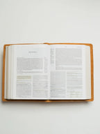ESV Bible, Study Edition (Warm Brown)