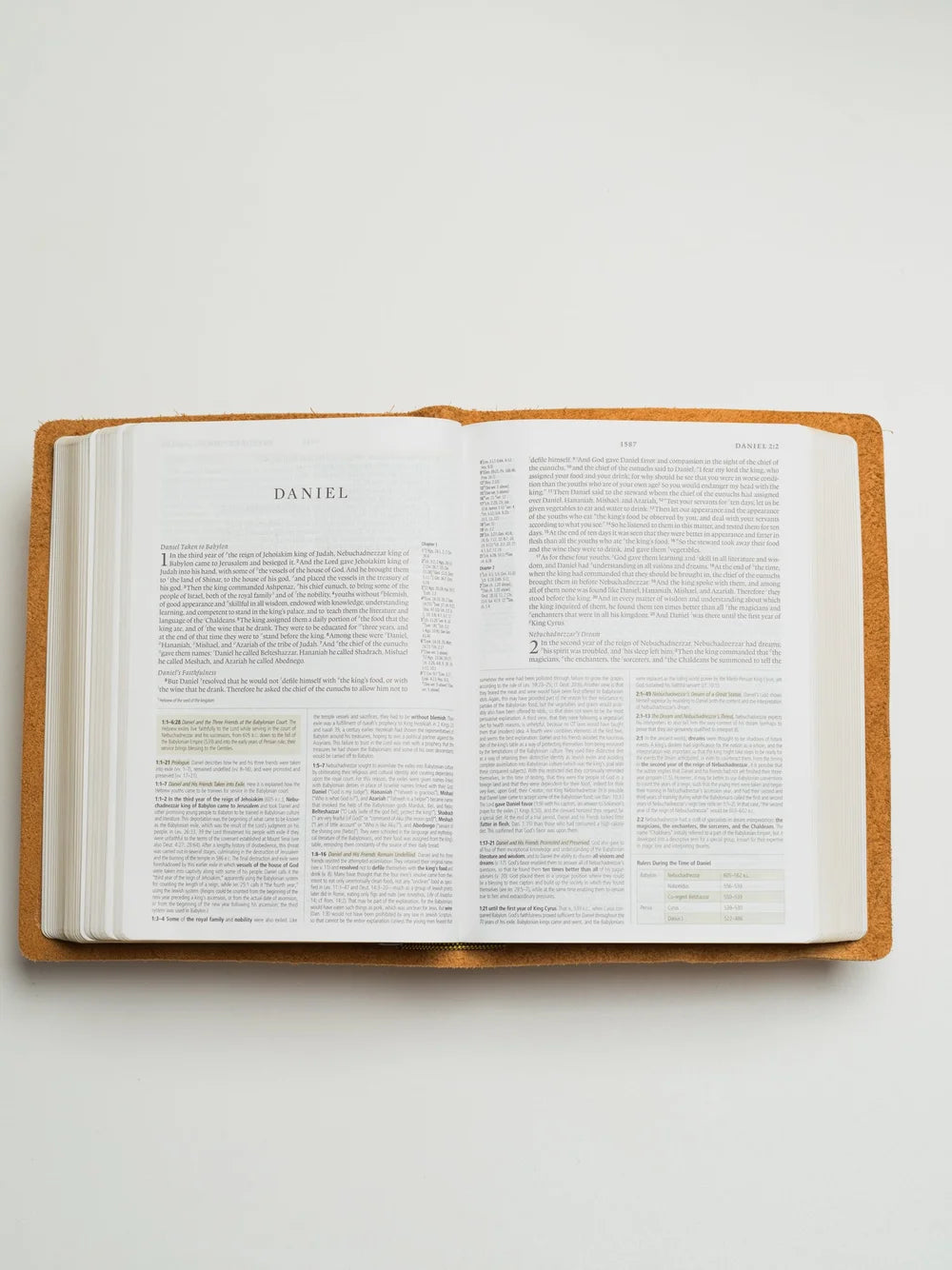ESV Bible, Study Edition (Warm Brown)