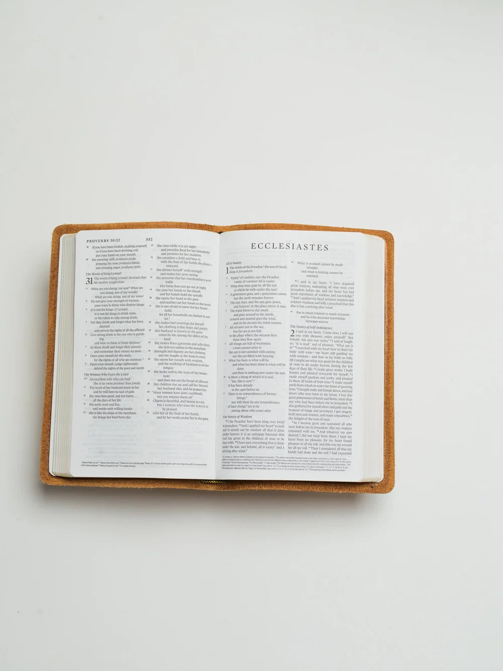 ESV Bible, Thinline Edition (Light Tan)