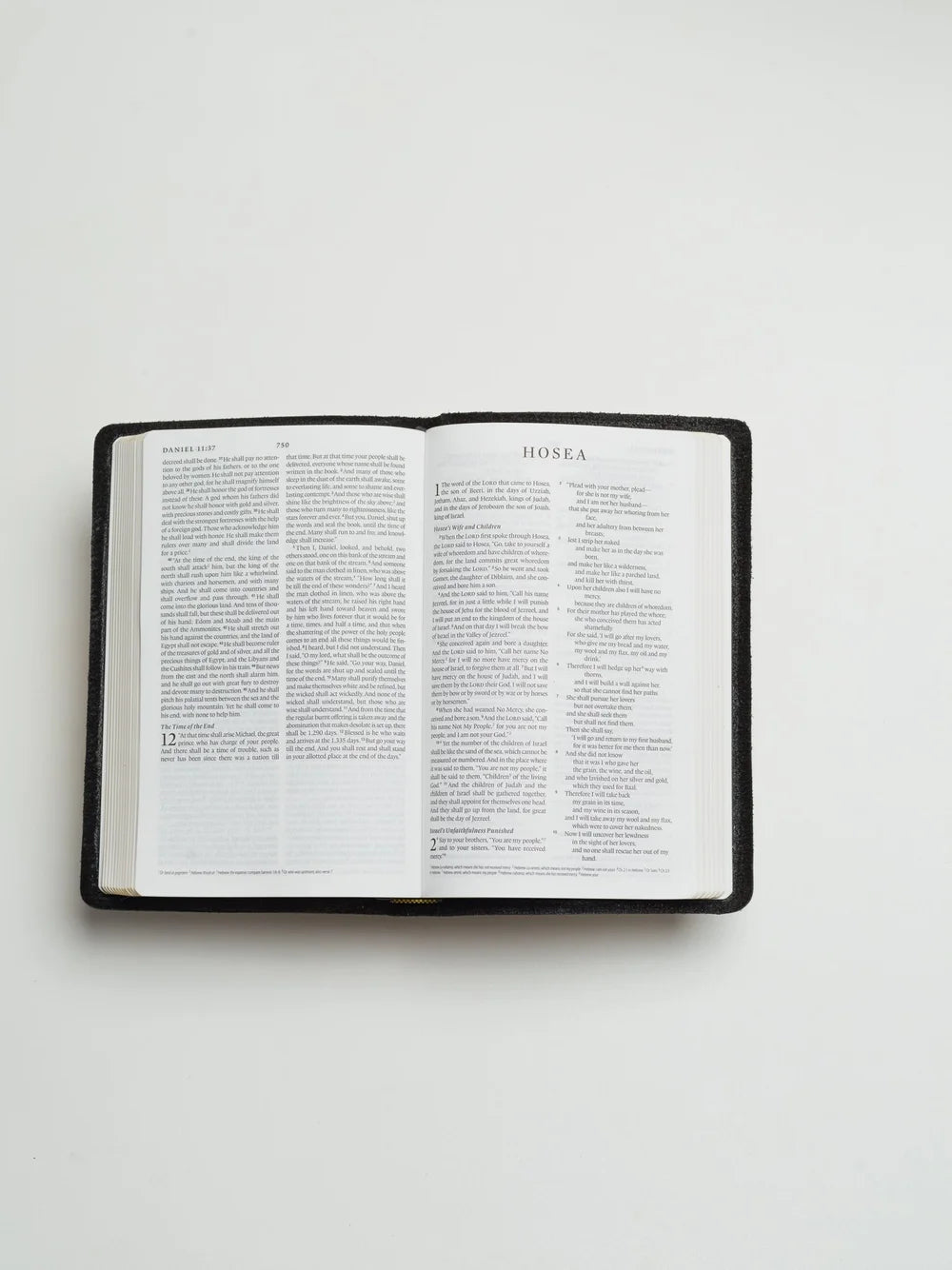 ESV Bible, Thinline Edition (Light Tan)