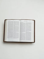 ESV Bible, Thinline Edition (Light Tan)