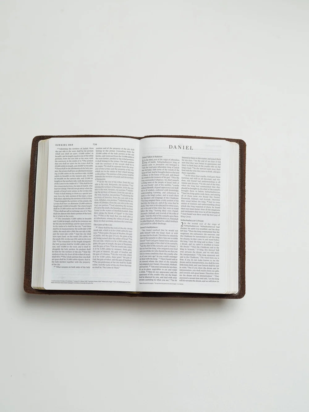ESV Bible, Thinline Edition (Light Tan)