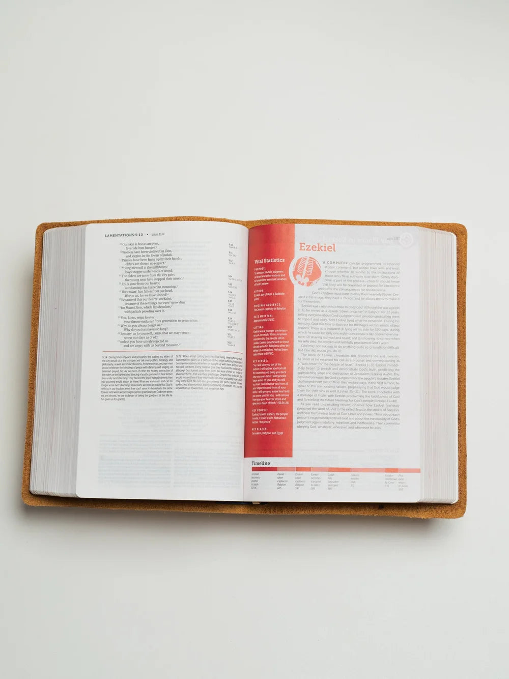 NIV Bible, Life Application Study Edition (Warm Brown)