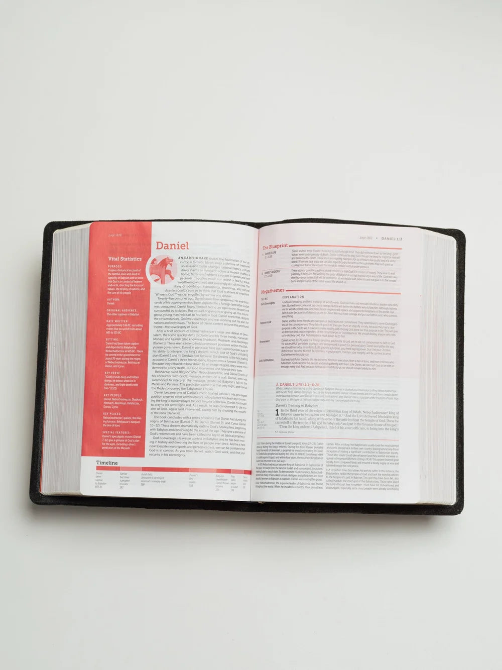 NIV Bible, Life Application Study Edition (Warm Brown)
