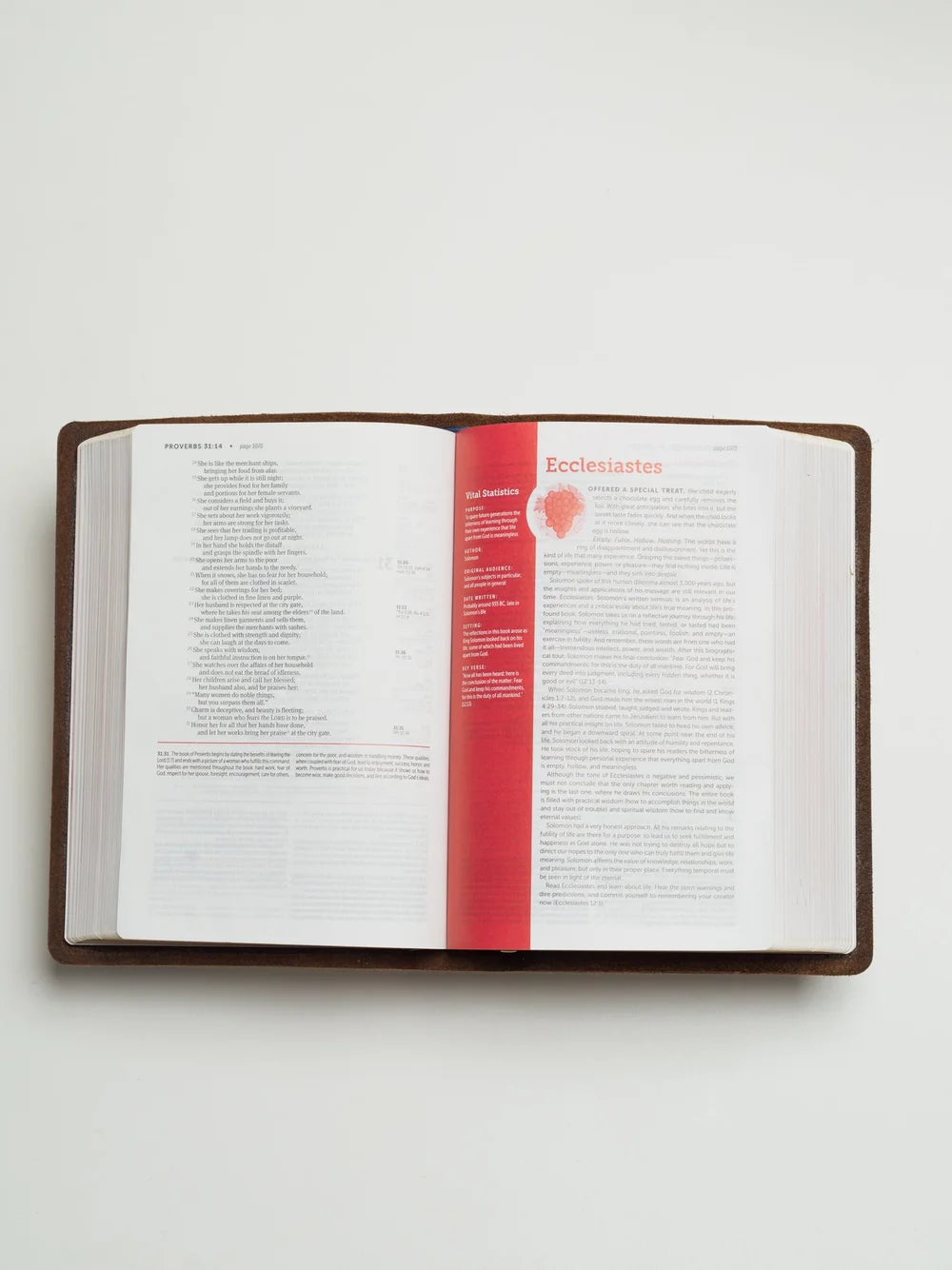 NIV Bible, Life Application Study Edition (Warm Brown)