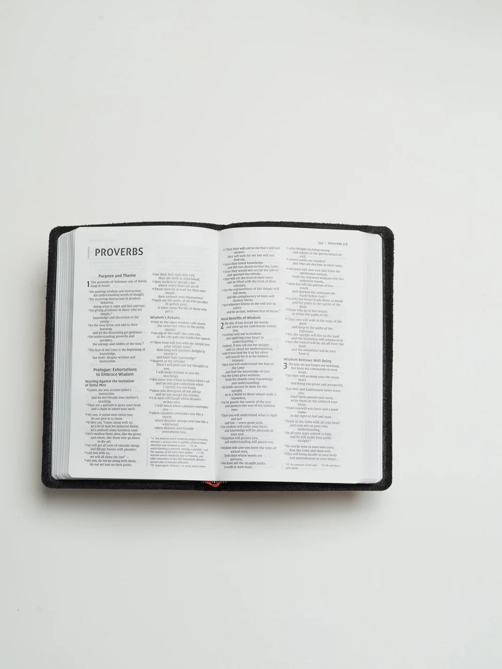 NIV Bible, Thinline Edition (Warm Brown)