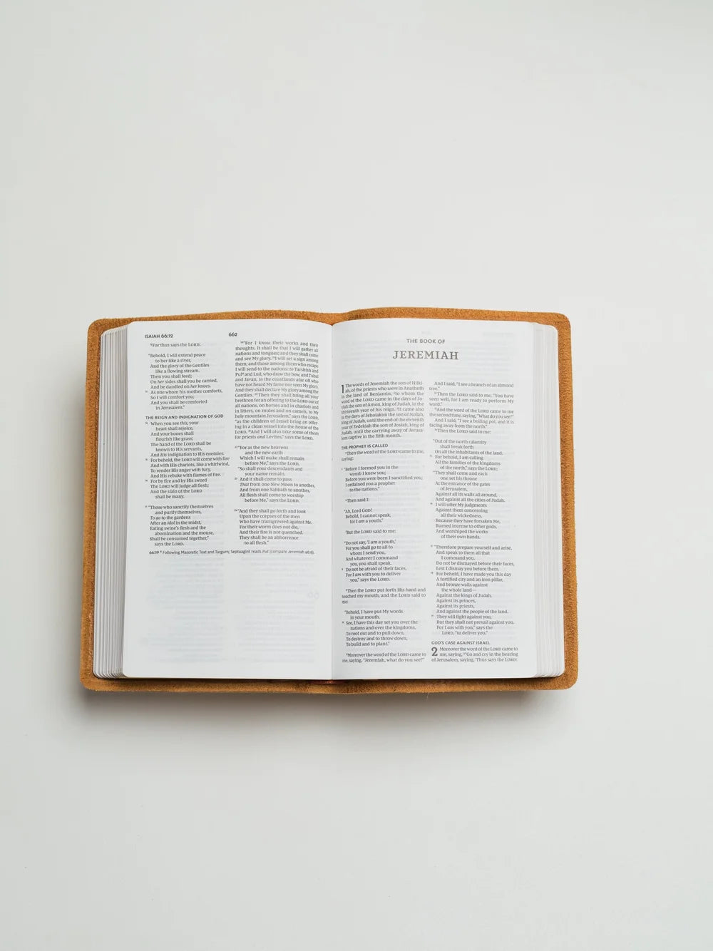 NKJV Bible, Thinline Edition (Light Tan)
