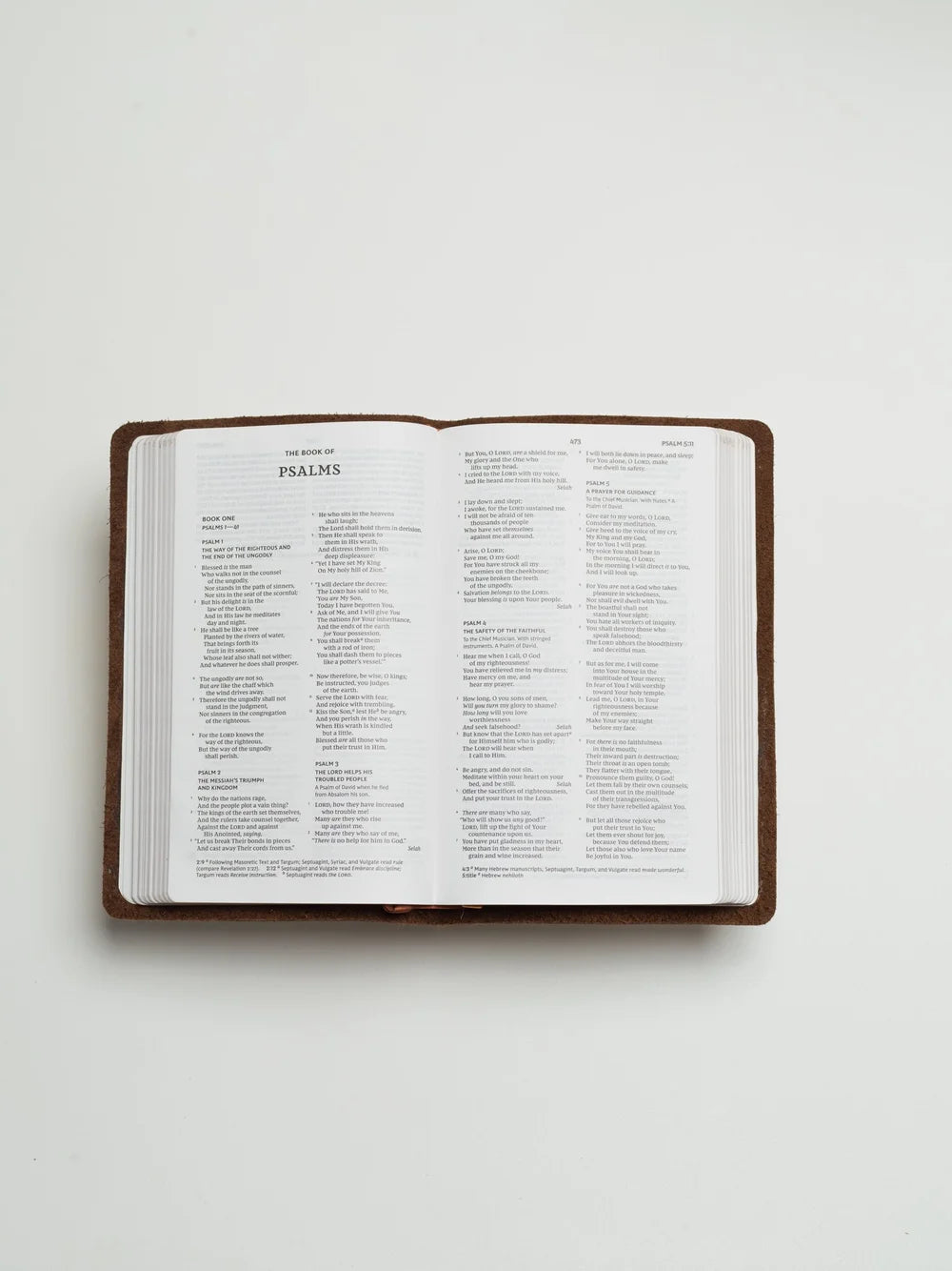 NKJV Bible, Thinline Edition (Light Tan)