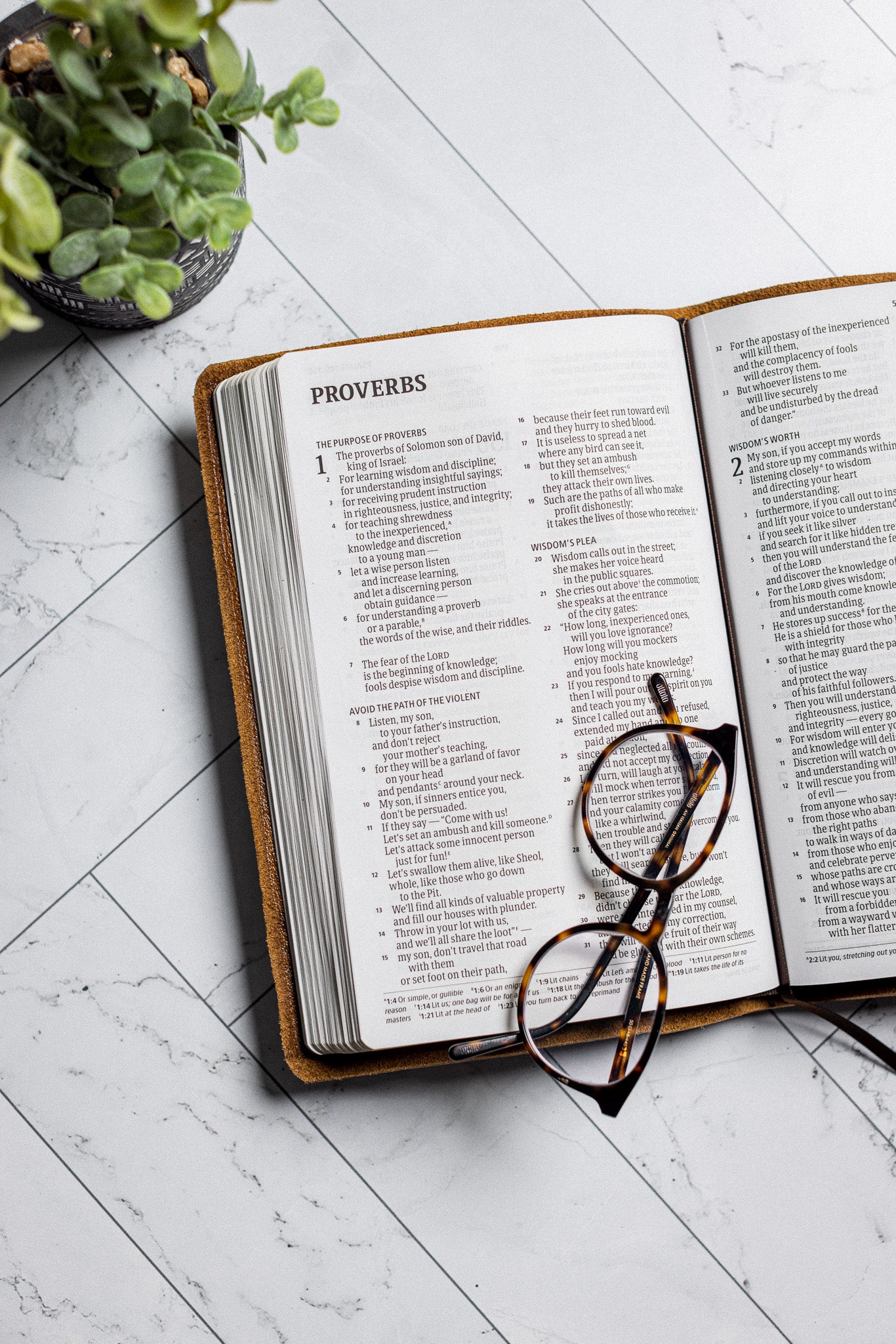 ESV Bible, Large Print Thinline Reference Edition (Black)